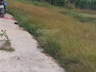 Bán đất tại cộng đồng lộc trung mỹ lộc  cần giuộc  long an 950 triệu, 151 m2,