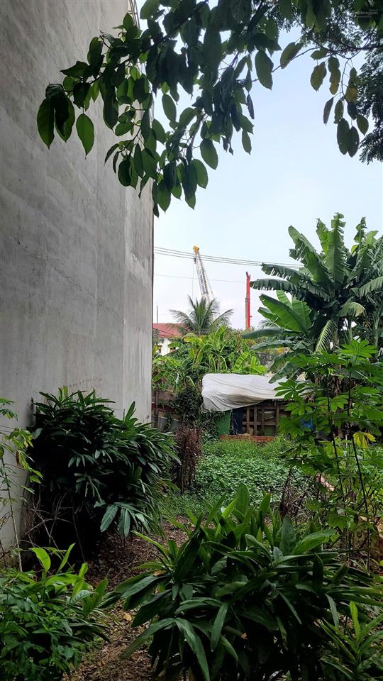 Chính chủ bán gấp 74m² chỉ 4.25 tỷ đường nhựa 7m sát vành đai 3