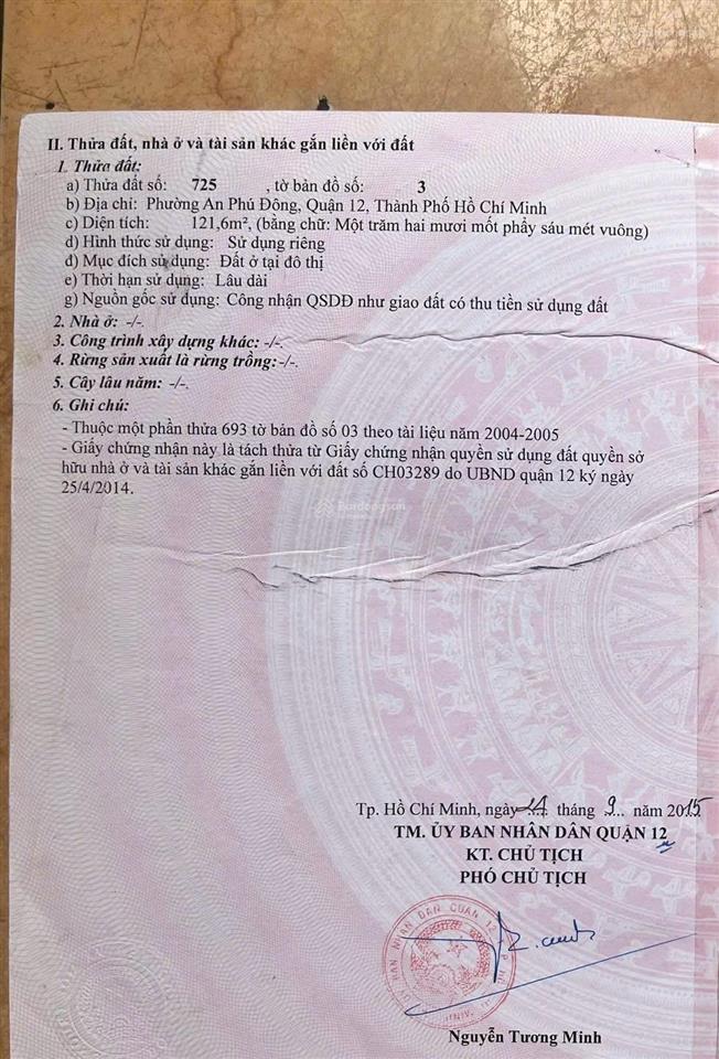 Bán đất tại võ thị thừa, an phú đông, quận 12, hcm giá 4,8 tỷ, 121,6 m2 (5x25m)