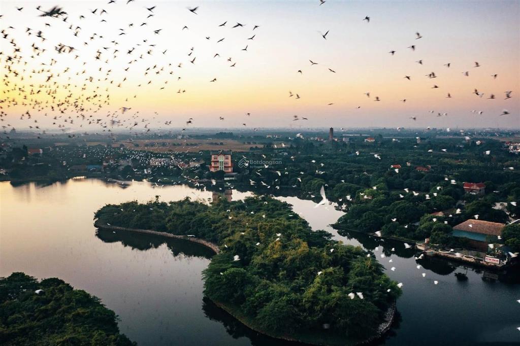 Chính chủ cần bán đất tặng nhà 2 tầng mặt đường chi lăng nam đường 7m, cách khu du lịch đảo cò 300m