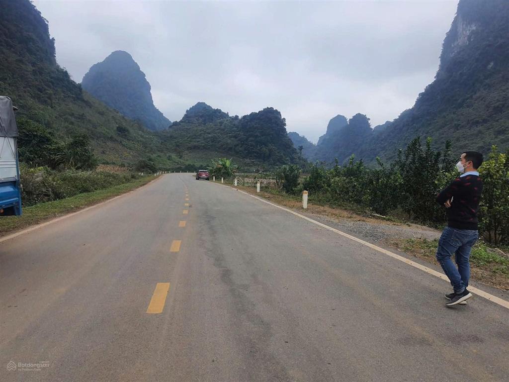 Chính chủ em cần bán 5000m  mặt đường nhựa  mặt tiền 115m