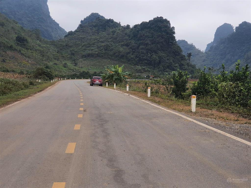 Chính chủ em cần bán 5000m  mặt đường nhựa  mặt tiền 115m