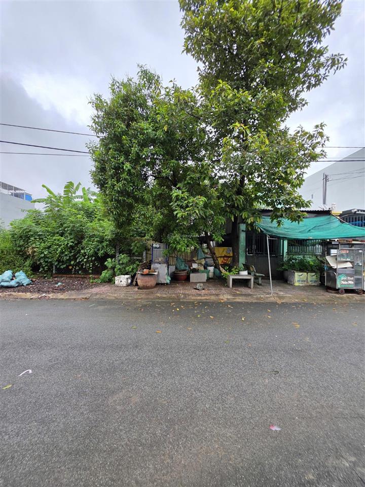 Bán đất thổ cư 100% gần đường phạm văn diêu 300m đường 10m có vỉa hè p. tân hạnh, tp. biên hòa