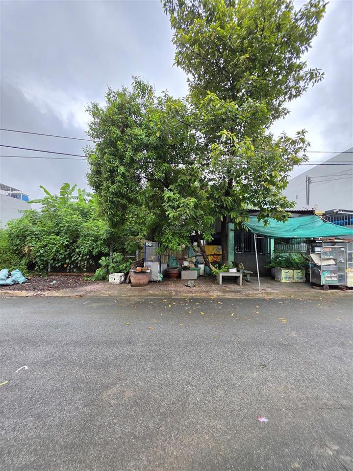 Bán đất thổ cư 100% gần đường phạm văn diêu 300m đường 10m có vỉa hè p. tân hạnh, tp. biên hòa