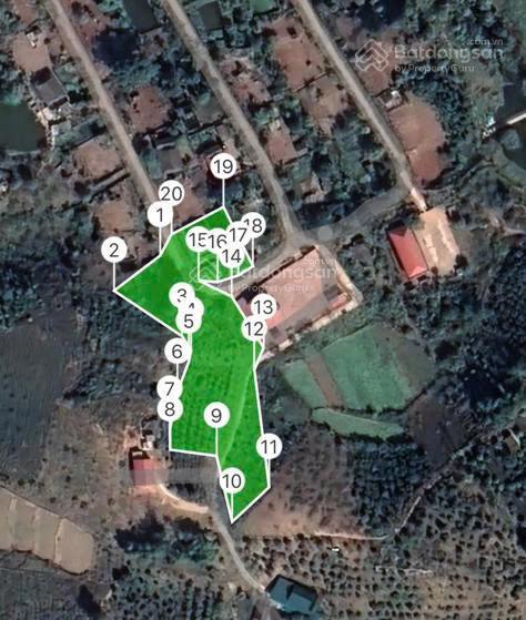 Đất vàng đầu tư homestay nghỉ dưỡng