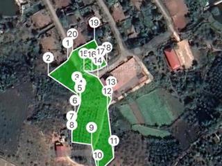 Đất vàng đầu tư homestay nghỉ dưỡng