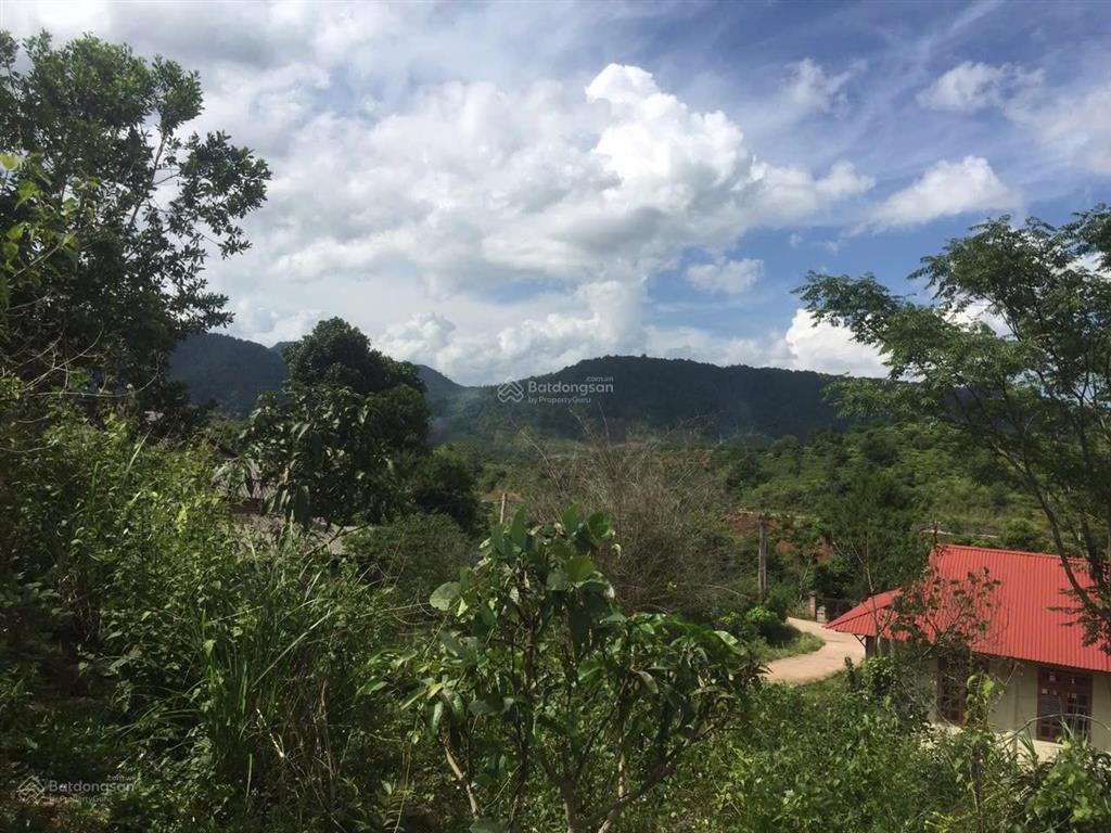 Đất vàng đầu tư homestay nghỉ dưỡng