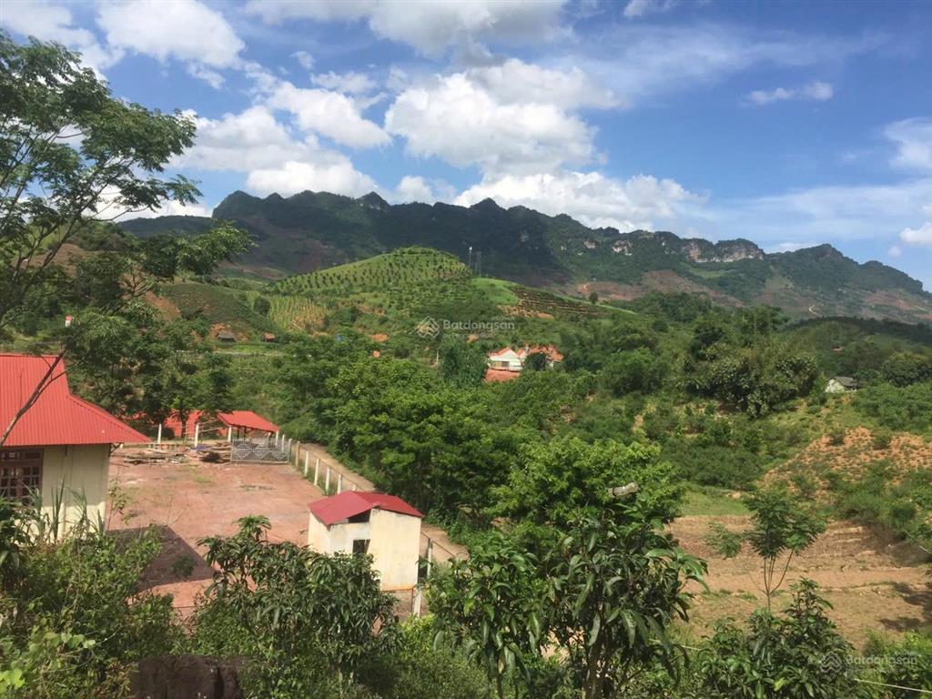 Đất vàng đầu tư homestay nghỉ dưỡng