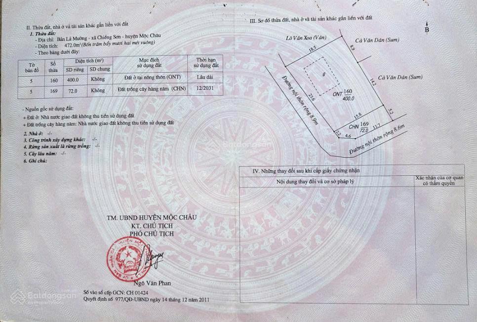 Đất vàng đầu tư homestay nghỉ dưỡng