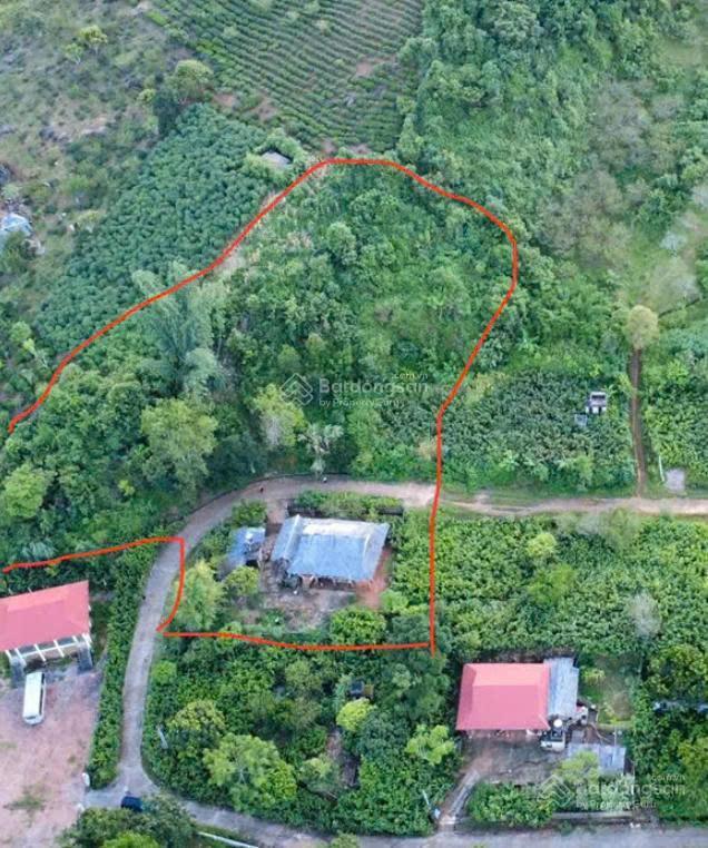 Đất vàng đầu tư homestay nghỉ dưỡng