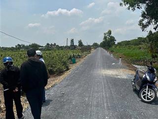 Đất vườn ngang 53m tại kênh 6, bình lợi, bình chánh, giá 3 triệu/m²