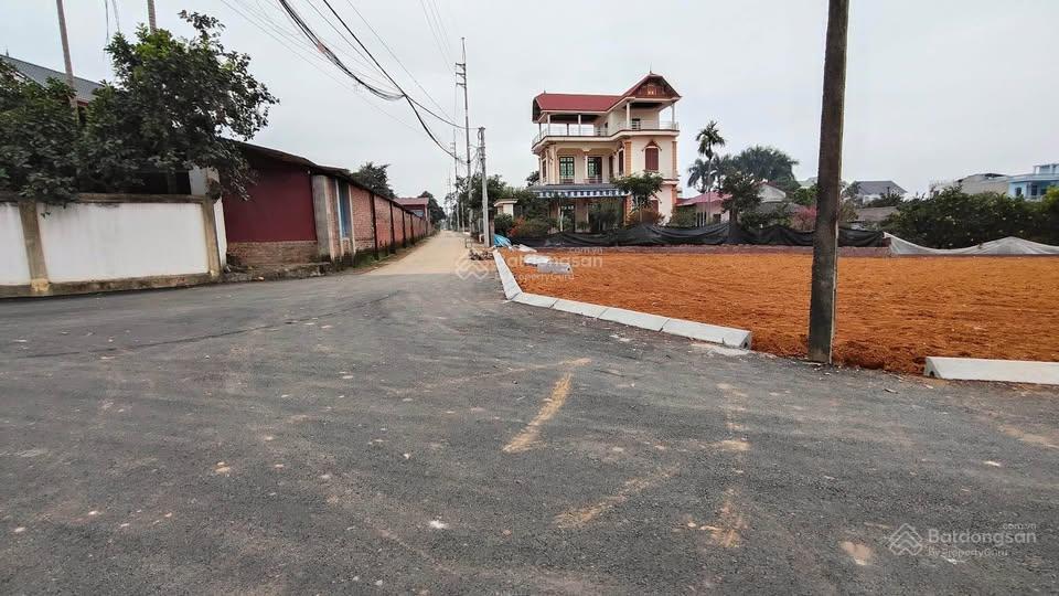 Bán đất 115,7m2, ngay toà nhà phenika, sát kđt bắc phú cát, đối diện đhqg, đhfpt, 500m tới metro 5