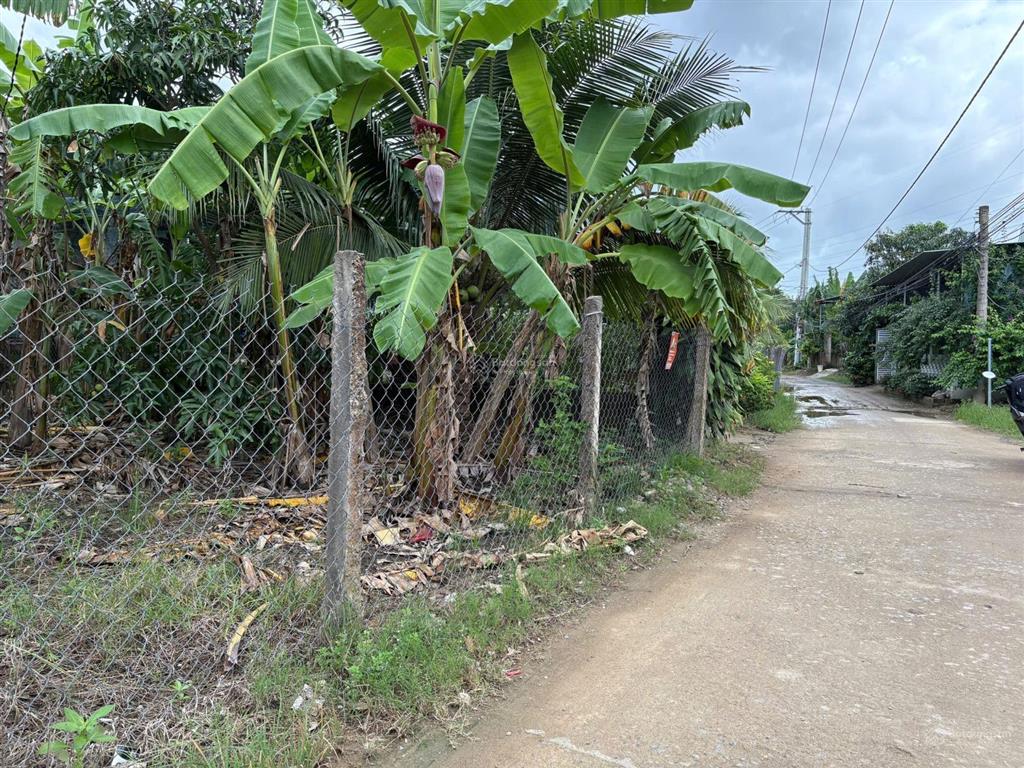 Bán đất nhà vườn bắc nha trang đắc phú, vĩnh phương, 1,425 tỷ, 156.5m2, mặt tiền siêu đẹp, giá rẻ