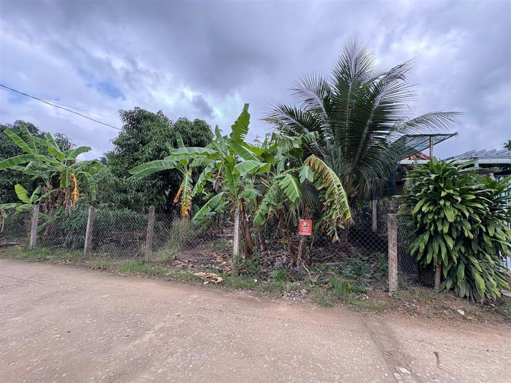 Bán đất nhà vườn bắc nha trang đắc phú, vĩnh phương, 1,425 tỷ, 156.5m2, mặt tiền siêu đẹp, giá rẻ