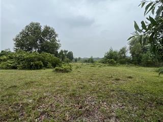 Bán gấp 500m² đất long sơn quy hoạch lên thổ cư 2030 đường đất vào tận nơi giá chỉ 7xx triệu