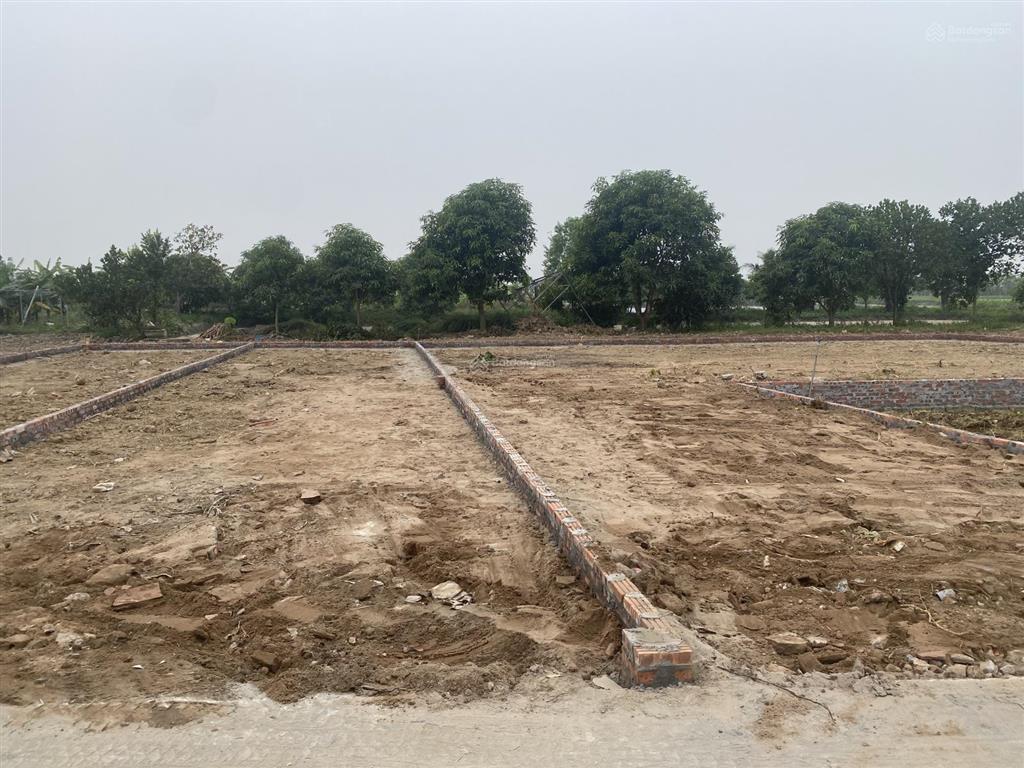 Bán gấp đất đẹp tại đường lương tài, 2,9 tỷ, 275 m2, nhiều tiện ích