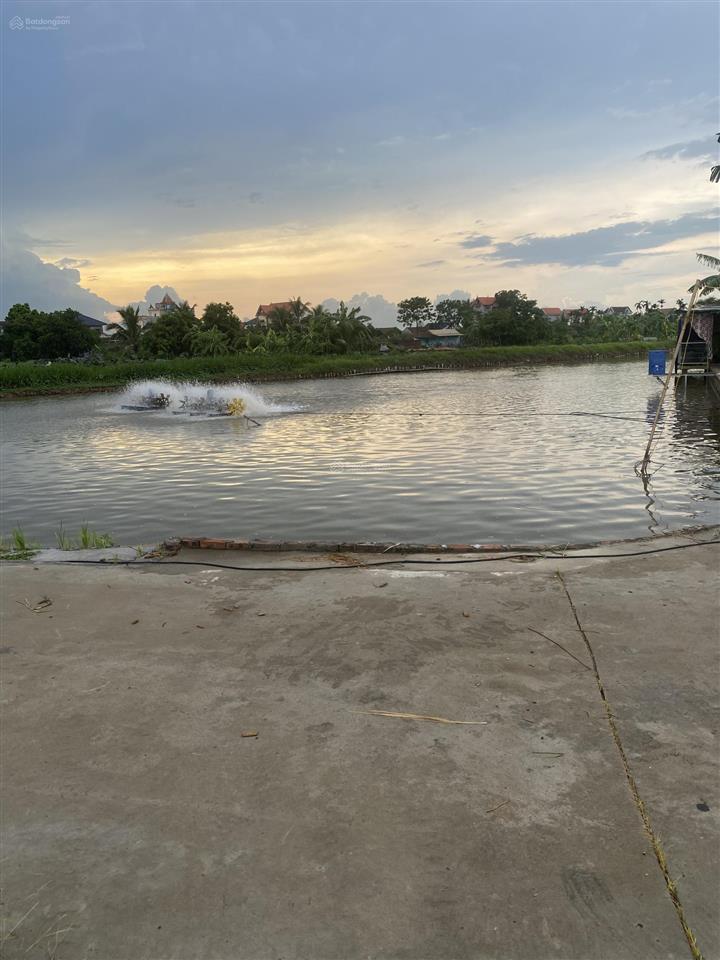 Bán đất tại xã trung chính, lương tài, bắc ninh, 1,5 tỷ, 101 m2, hàng hiếm!