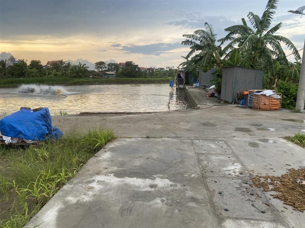 Bán đất tại xã trung chính, lương tài, bắc ninh, 1,5 tỷ, 101 m2, hàng hiếm!