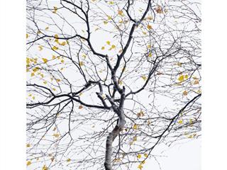 Bán 328m² đất odt đường tân hòa đông  quận 6 hcm. giá 28 tỷ tl