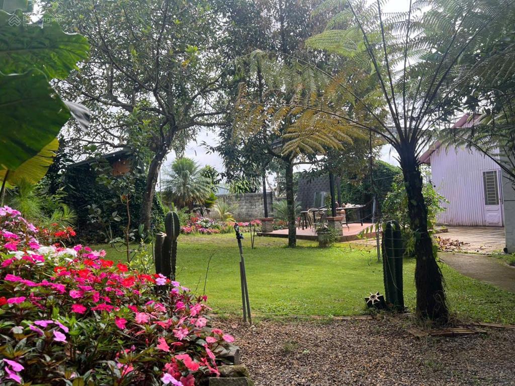 Bán nhà riêng tại nguyễn tri phương, lộc tiến, bảo lộc, 6,8 tỷ, 1000m2