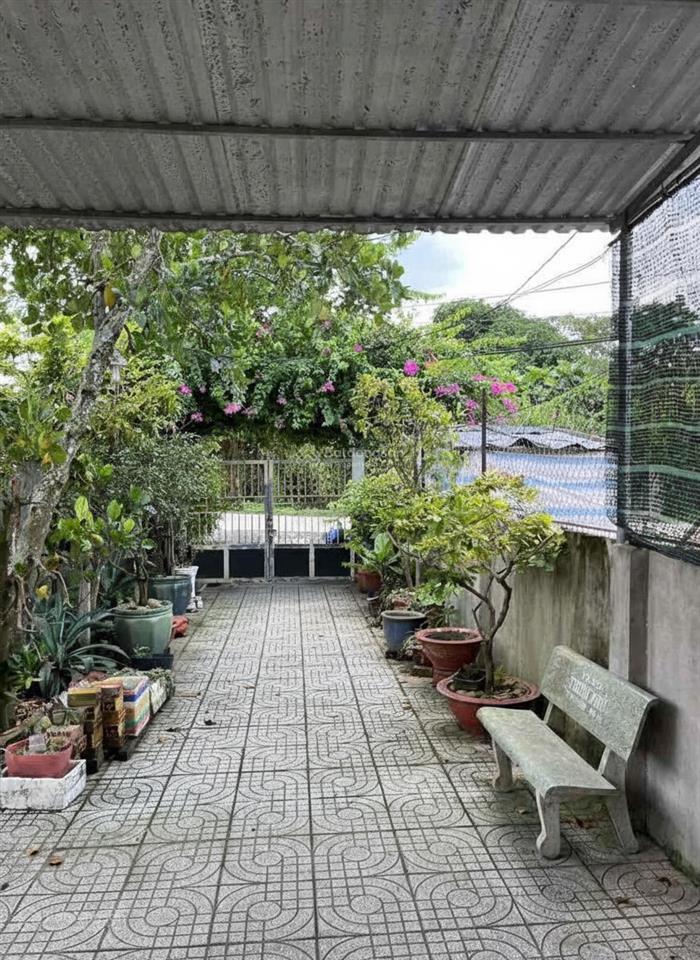 Nhà cấp 4 mặt tiền đường 387, cây sộp 3 tỷ 450