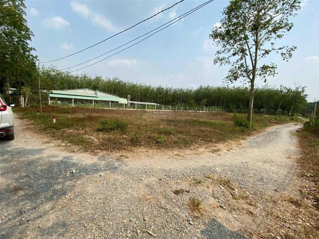 Bán đất 399tr 133m2 full thổ ngay thị trấn gò dầu tây ninh, cạnh kcn hiệp hạnh