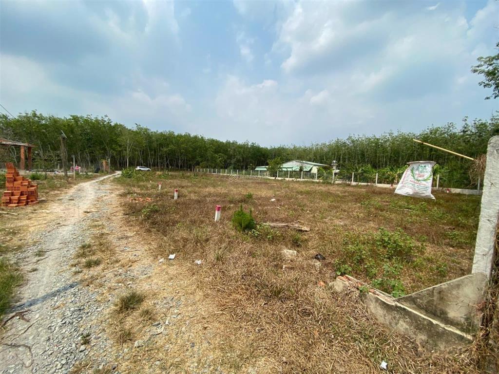 Bán đất 399tr 133m2 full thổ ngay thị trấn gò dầu tây ninh, cạnh kcn hiệp hạnh