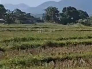 Đất nghỉ dưỡng giá chỉ 2,6ty tu lý đà bắc hoà bình