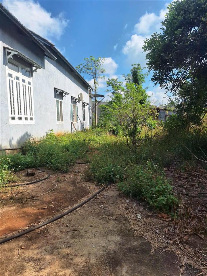 Bán gấp nhà mặt phố ngãi giao, 2 mặt tiền, 2,9 tỷ, 282 m2, pháp lý đầy đủ, nhà mới xây, an ninh