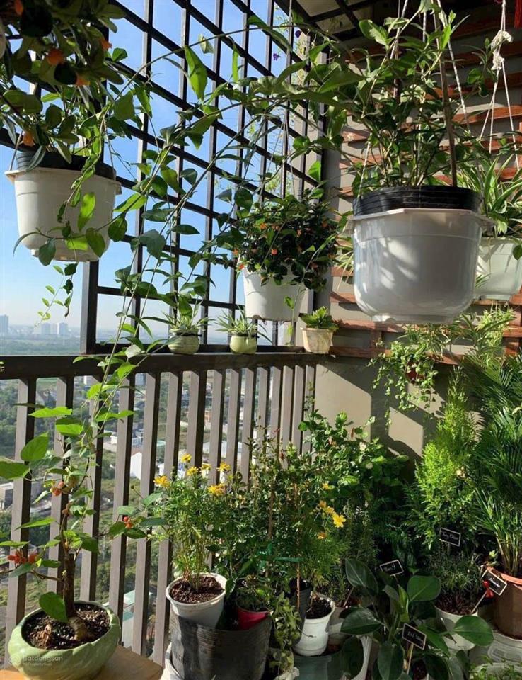 Ngộp bank bán cc jamila khang điền (thủ đức) full nội thất bao sang tên sổ hồng