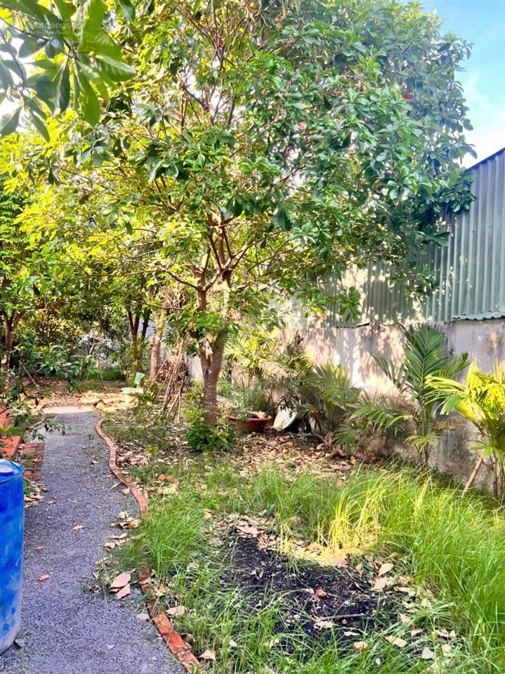 Bán nhà riêng tại đinh văn ước, hưng long, bình chánh, 6,5 tỷ, 427m2, giá ưu đãi