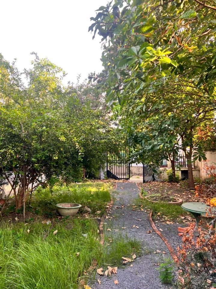 Bán nhà riêng tại đinh văn ước, hưng long, bình chánh, 6,5 tỷ, 427m2, giá ưu đãi