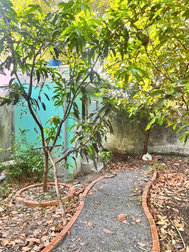 Bán nhà riêng tại đinh văn ước, hưng long, bình chánh, 6,5 tỷ, 427m2, giá ưu đãi