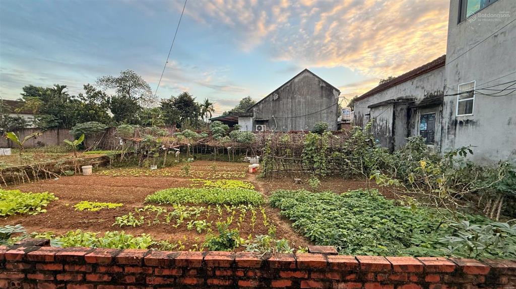 Bán đất hòa lạc, hà nội, 29 triệu / m2, 200 m2 chính chủ