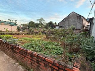 Bán đất hòa lạc, hà nội, 29 triệu / m2, 200 m2 chính chủ