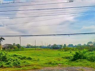 BÁN NHANH ĐẤT NỀN GẦN CAO ĐẲNG BẾN LỨC LONG AN: ĐẤT THỔ 5x26(130m²) CHỈ 2Tỷ6 