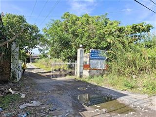 Chính chủ chuyển nhượng lô đất 5.269m2  ql30, bình hàng tây, cao lãnh, đồng tháp  5 triệu/m2