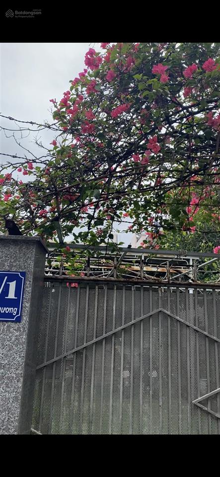 Chính chủ cho thuê nhà ở đường nguyễn tri phương