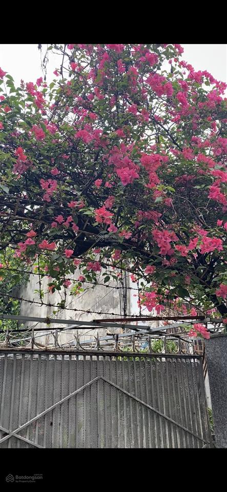 Chính chủ cho thuê nhà ở đường nguyễn tri phương