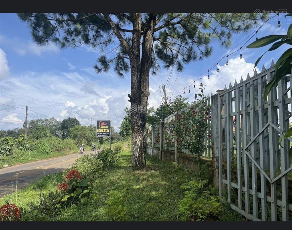 Bán đất vị trí cao bằng mặt tiền lý thái tổ. gần nhà hàng huyền trang