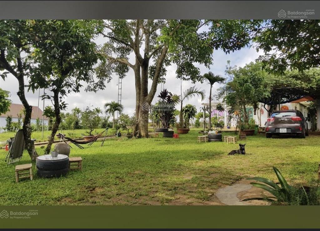 Bán đất vị trí cao bằng mặt tiền lý thái tổ. gần nhà hàng huyền trang