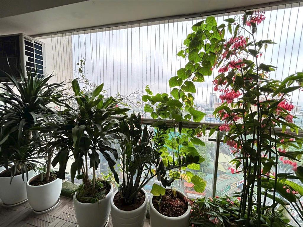 Chủ bán gấp ch sun square lê đức thọ tháp a dt 108,6m2 3pn full nt sđcc 8 tỷ o971085383