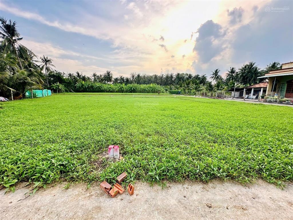 Bán đất thổ vườn ấp bình nhựt xã thành công gò công tây tiền giang