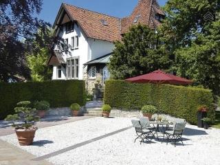 Bán gấp bt louis city hoàng mai, 300m2, pháp lý đầy đủ, đẹp xuất sắc!