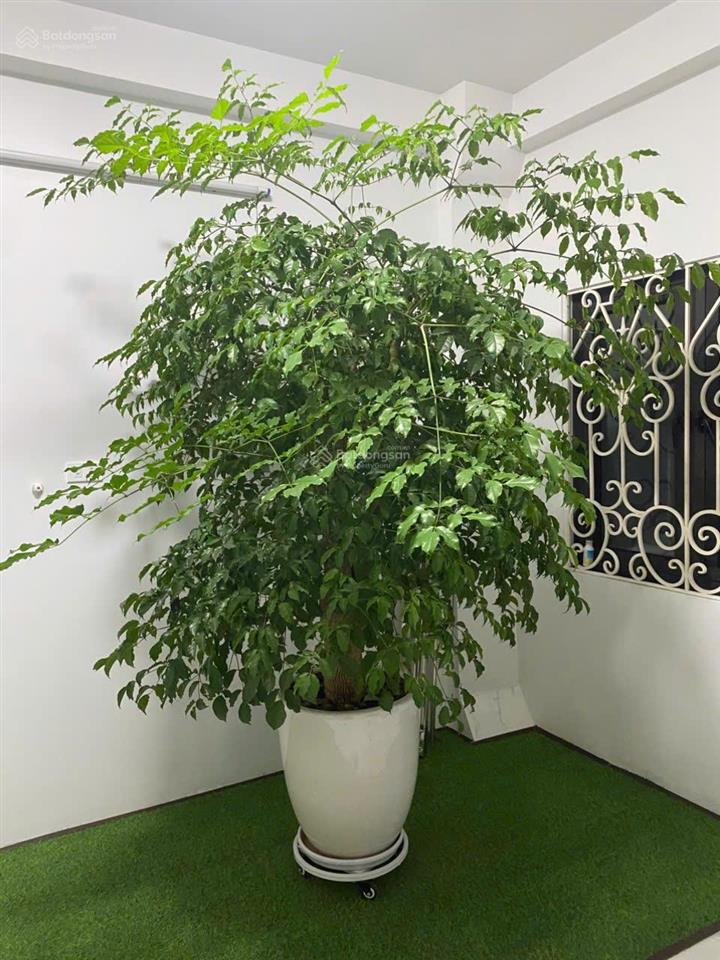 Chính chủ bán gấp nhà phố việt hưng long biên full nội thất có gara 100m2 5t thang máy nhỉnh 18 tỷ