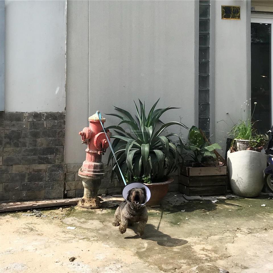 Bán nhà hẻm 69/40 nguyễn công hoan, phường 7, quận phú nhuận, tp hcm