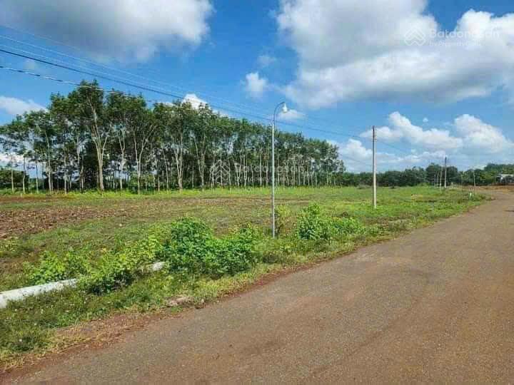 Bán đất phường an lộc 2200m2 chỉ 380 triệu mặt tiền đường 48m sổ hồng riêng có suối bên cạnh