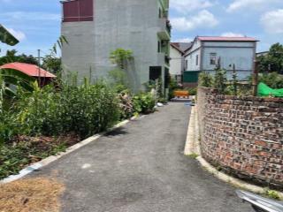 Bán 46m2 đất đa tốn  gia lâm, hà nội, đường ôtô giá hơn 3 tỷ.