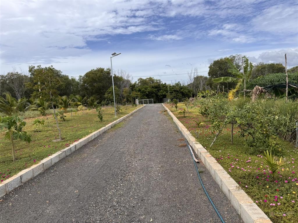 Bán đất view ngắm trọn sân bay phan thiết và núi tazon, gió mát  view đẹp