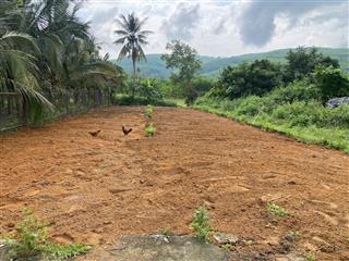 Bán đất 230m2 full thổ cư tại hoà khương